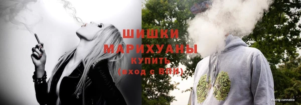 дживик Тобольск