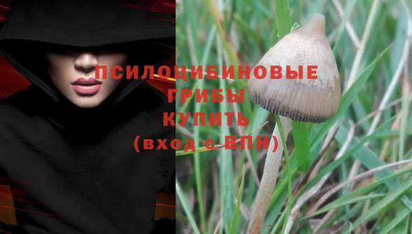 PSILOCYBIN Тихорецк