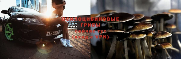 PSILOCYBIN Тихорецк