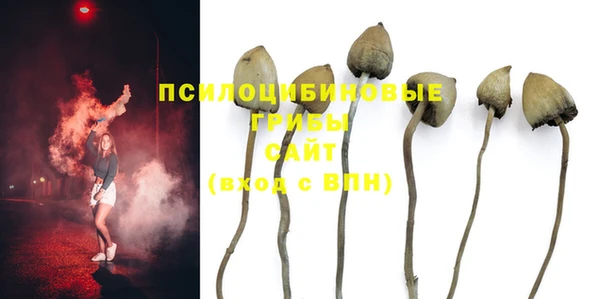дживик Тобольск