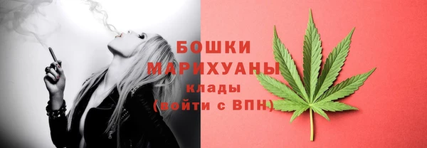 дживик Тобольск