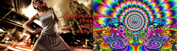 дживик Тобольск