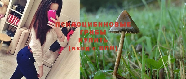 PSILOCYBIN Тихорецк