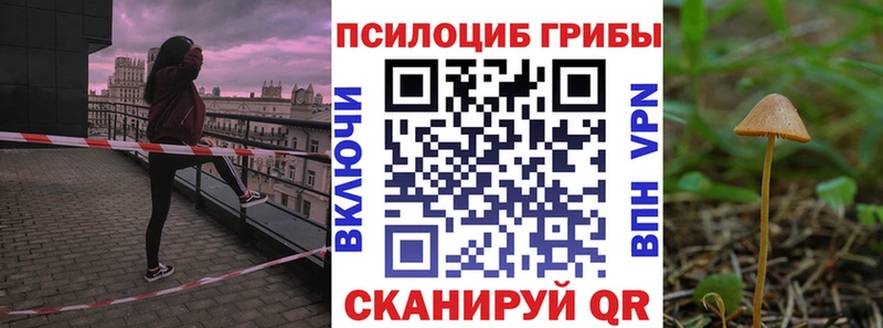 площадка телеграм  даркнет сайт  Чита  Псилоцибиновые грибы мухоморы 