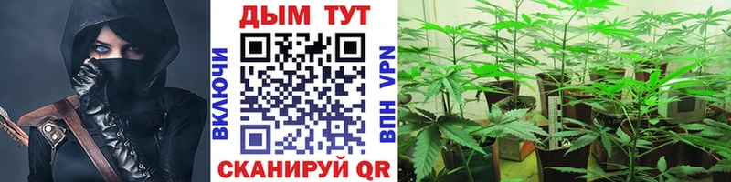 закладки  Чита  Бошки Шишки ГИДРОПОН 